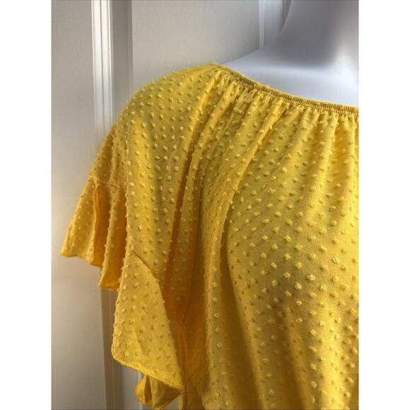 Zac &‎ Rachel Women's XL Yellow Dotted Swiss Ruffle Short Sleeve Tie Front EUC - Picture 2 of 6